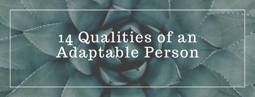 14 Qualities of an adaptable person